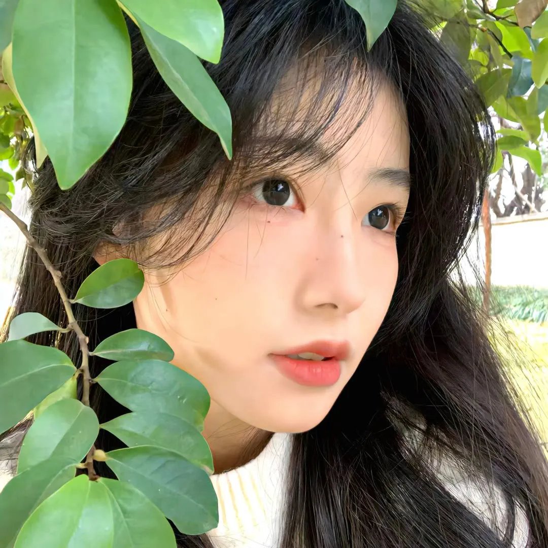 黑暗之家